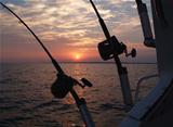 Trolling Fishing Poles Silhouetted in Front of a Sunrise