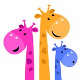 Colorful giraffe family isolated on white