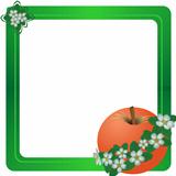Frame with a red apple