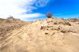 sandy dune