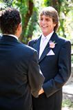 Gay Marriage - Handsome Groom