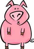 cartoon illustration of farm pig