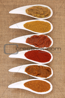 Curry Powder and Paste