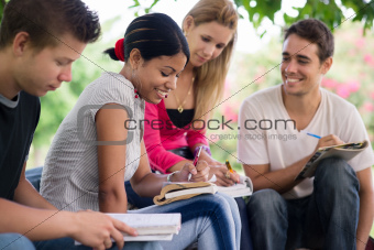 college students doing homeworks in park