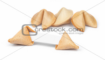 Fortune Cookie and Message