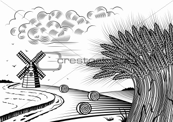 Wheat fields landscape black and white
