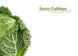 savoy cabbage
