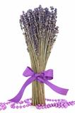 Lavender Herb Flowers
