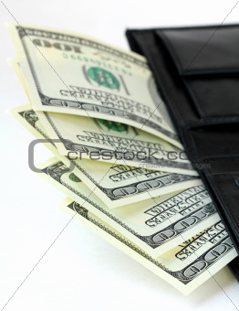 U.S. currency dollars in the black purse