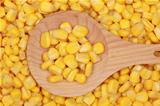 Corn on a wooden spoon