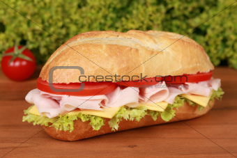 Sub with ham