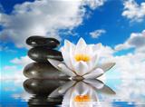 three stones and lily in water on sky background
