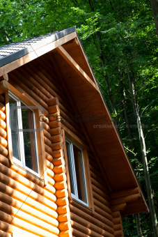 Summer wooden cottage in forest at sunny day