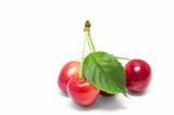 Perfect sweet cherries with the leaf isolated on a white background.