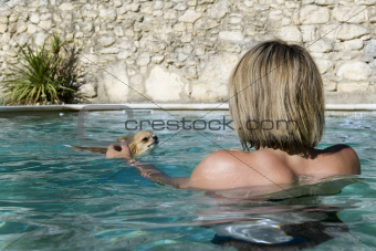 chihuahua and girl in the water