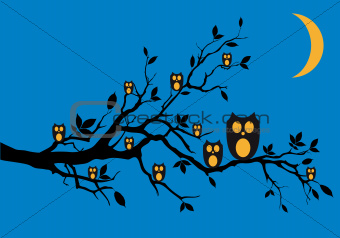 Night owls on tree, vector
