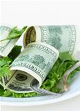 U.S. currency dollars on a plate -  salad cash