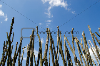 Fence made of tree branches on blue cloudy sky 