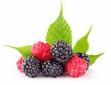 raspberry and blackberry with green leaf