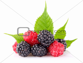 raspberry and blackberry with green leaf
