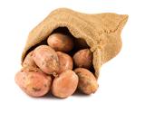 Fresh raw potatoes in burlap sack