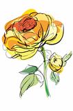 A sketch of a yellow rose on a white background