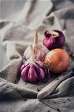 Garlic bulbs, onions and coriander seeds
