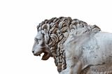 Lion near Palazzo Vecchio