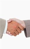 Side view of shaking hands closing a deal