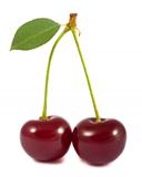 Pair of red cherries with green leaf