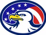 American Bald Eagle Stars Stripes Flag