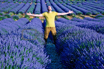  lavender fields