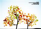 autumn tree background