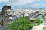 Top-view of Paris