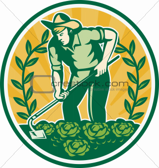 Farmer Gardener With Garden Hoe Cabbage