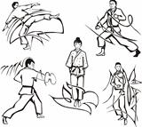 Martial art lessons