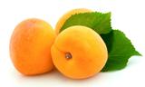 Sweet apricots 