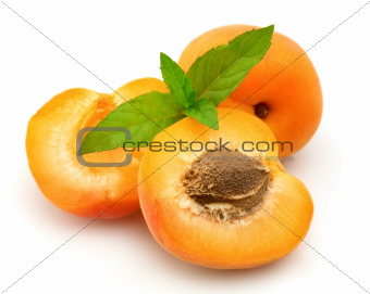 Ripe apricots with  mint