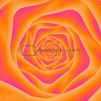 Orange and Pink Rose Spiral