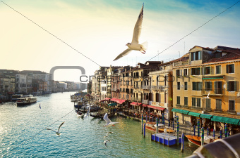 Grand canal, view from Rialto bridge, Venice