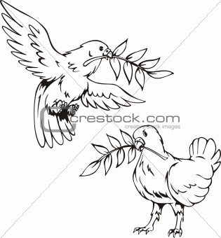 Doves with olive branches