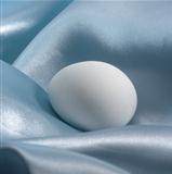 egg in blue satin