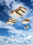 Four open books flying above