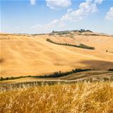 Country in Tuscany