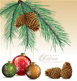 Fir tree with pine cones background