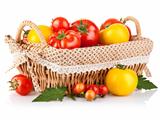 fresh tomatoes in the basket