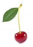 Sweet cherry with green leaf