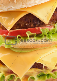 Tasty Double Cheeseburger closeup