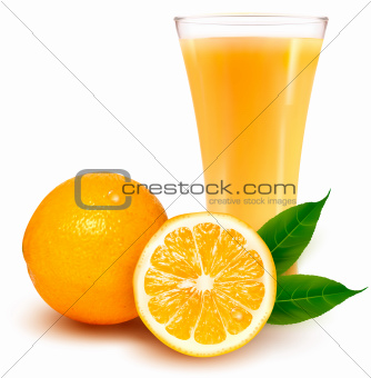 Fresh orange and glass with juice. Vector