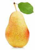 Ripe red yellow pear fruit with leaf